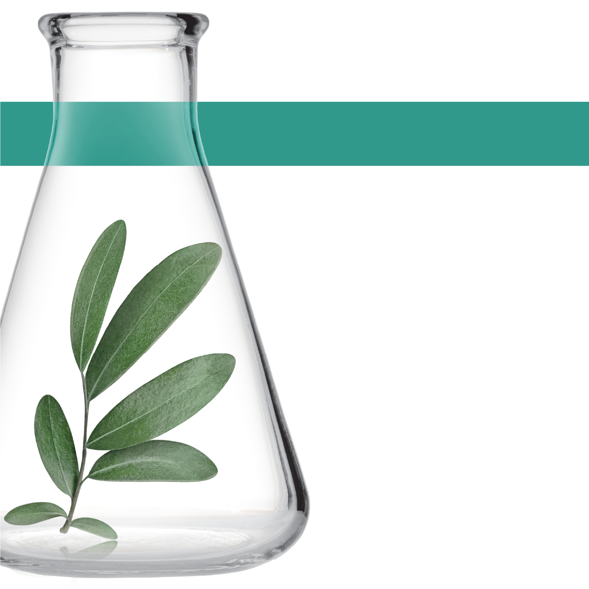 Bioliq Imperfection preparations are based on a complex of three ingredients, which holistically reduce imperfections?