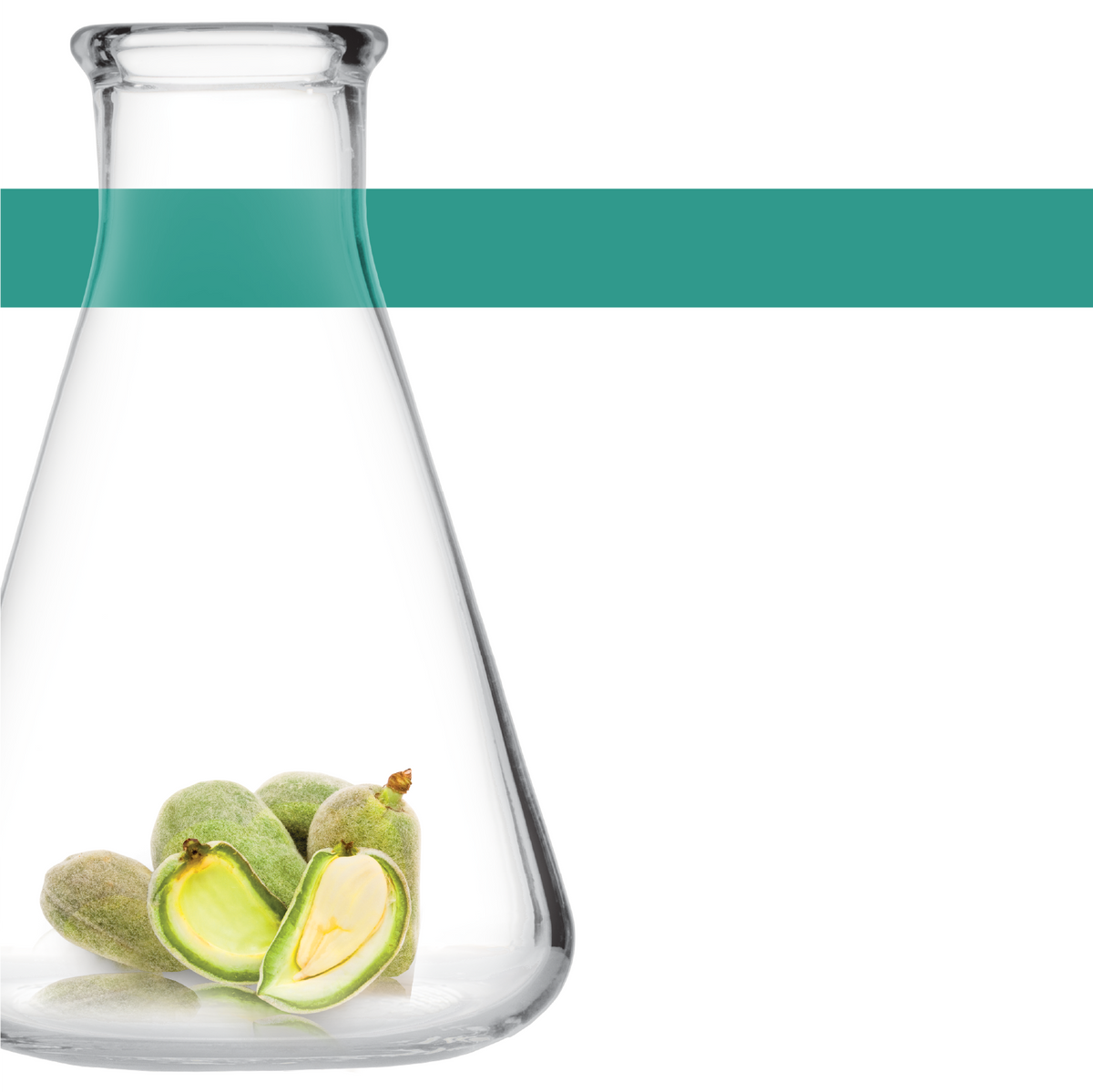 ancient Polynesian tribes discovered the power of Tamanu oil and