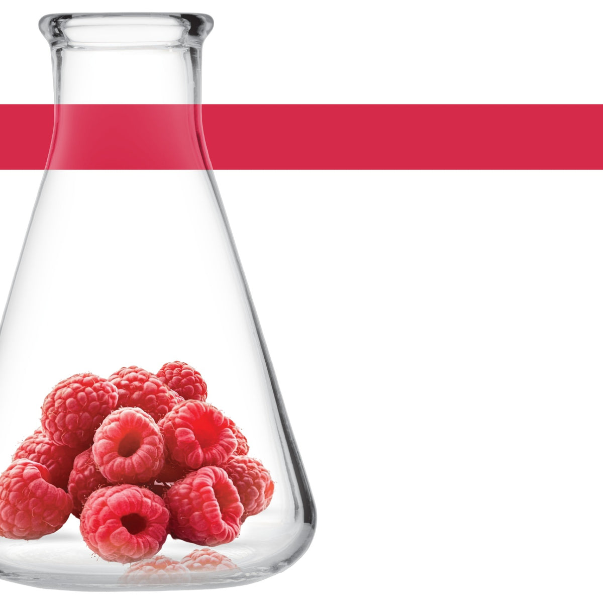 Raspberries are the fruit of "youth".